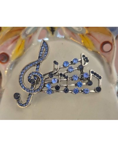 BROCHE notes bleu
