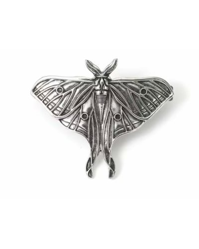 Barrette papillon de nuit